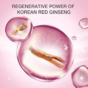 DONGINBI Red Ginseng Daily Defense Cream 25ml - Komiko Beauty